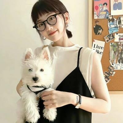 夏洛特的网2：韦伯历险记