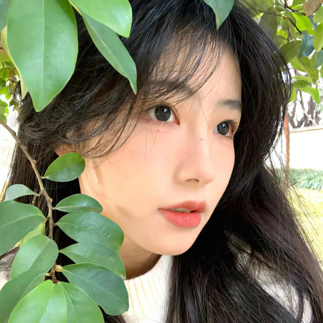 马路小霸王